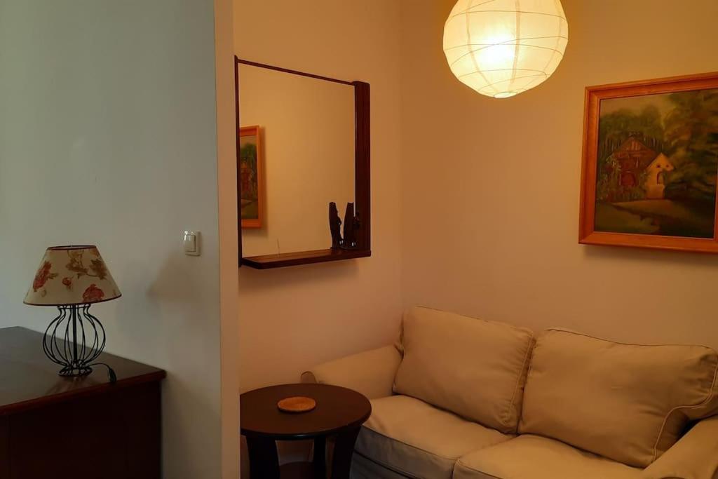Apartament, Ogrodek, Przy Rynku! Zielona Góra Kültér fotó